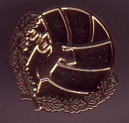Badge TU Rauma